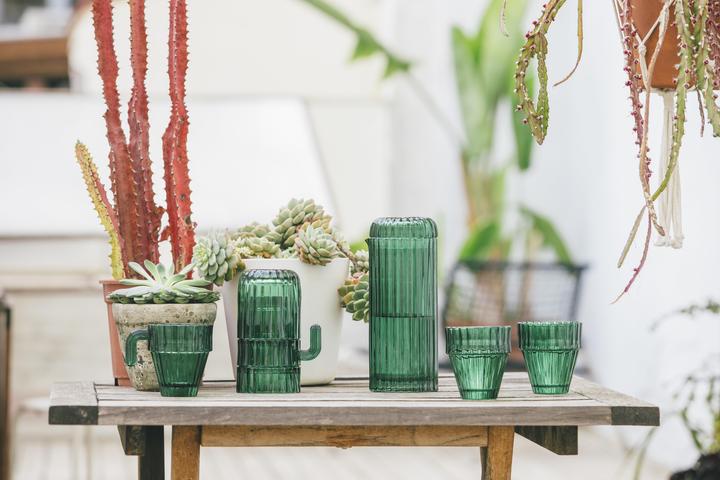 Actual product image Doiy Saguaro Glasses (0.20 l, 6 x)