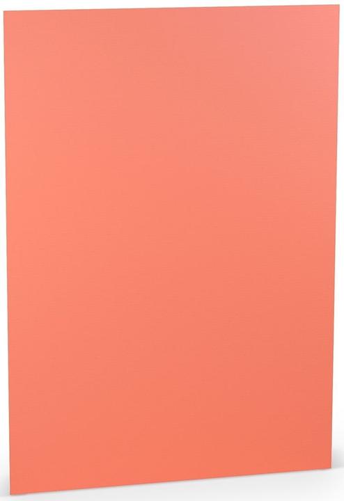 Immagine prodotto Paperado Carta da lettera A4 100g/mq PU=10 fogli Coral (10 pz.)