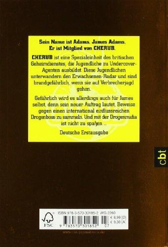 Produktbild Top Secret 2. Heisse Ware (Deutsch, Robert Muchamore, 2006)