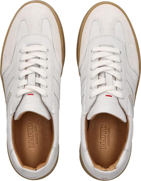 Actual product image Lloyd Akari Alpha (37)