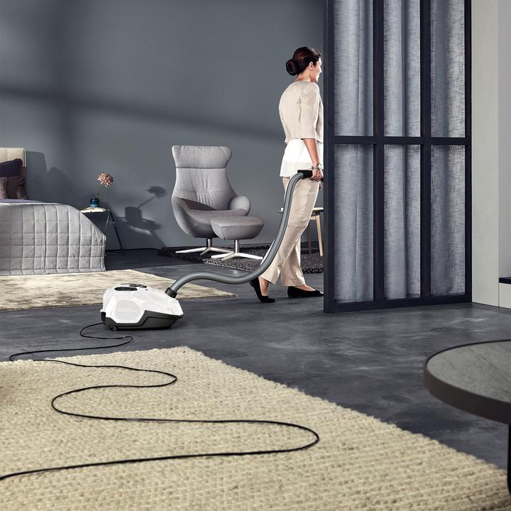 Immagine prodotto AEG VX7-2-IW-S Sacco per la polvere secco per aspirapolvere a cilindro