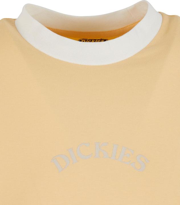 Produktbild Dickies Warm Springs T-Shirt - 125477 (M)