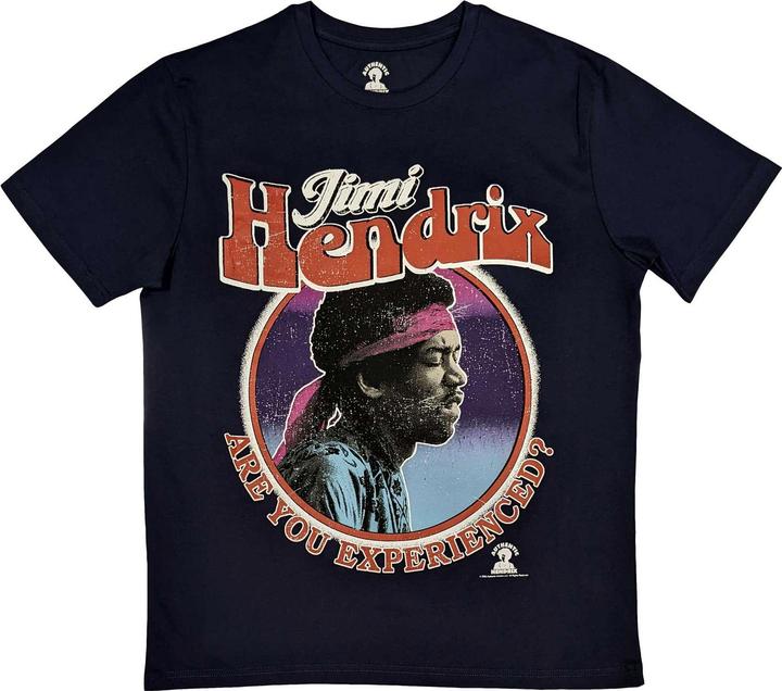 Jimi Hendrix Are You Experienced?