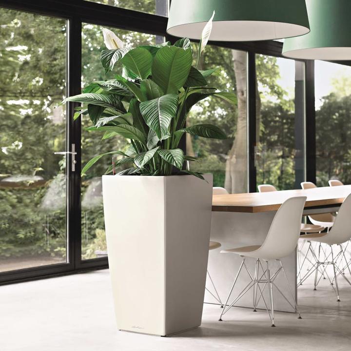 Actual product image Lechuza Cubico 30 (29.50 cm)