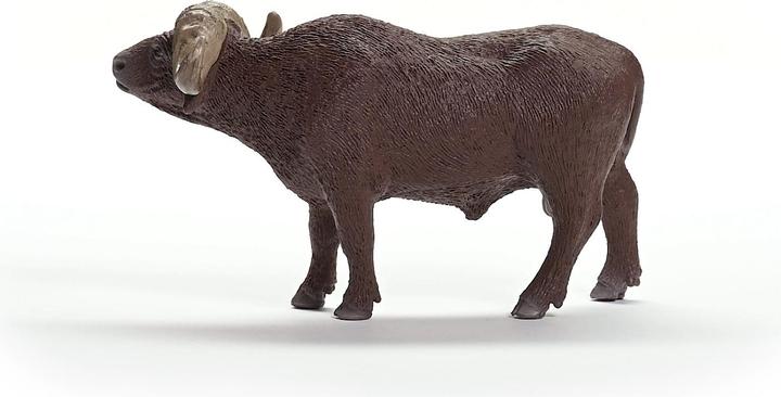 Actual product image Schleich Kaffir Buffalo