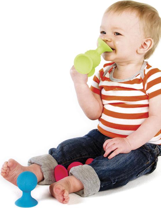 Actual product image Fat Brain Toys pip squigz