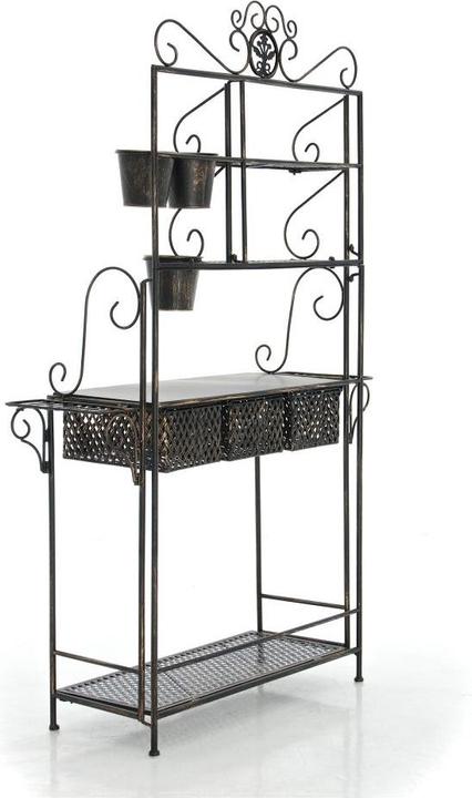 Image du produit Swisshandel24 XL étagère à plantes Shine, bronze