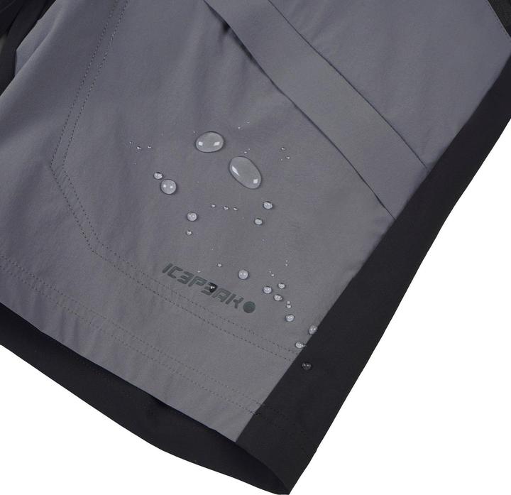 Image du produit Icepeak Delphos (46)