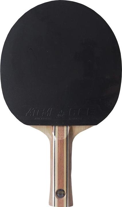 Image du produit Atemi Nouveau Raquette de ping-pong 3000 Pro concave