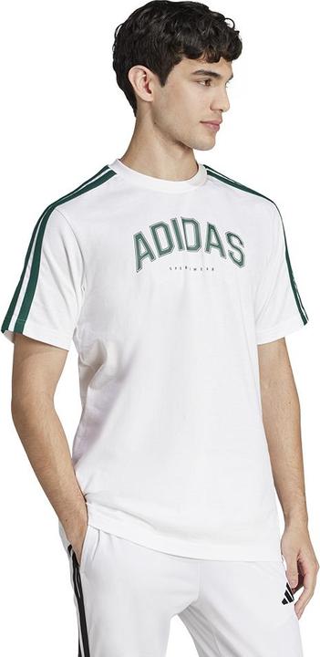 Produktbild adidas M C Colleg Tee (M)