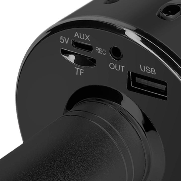Actual product image Avizar CR58 karaoke microphone