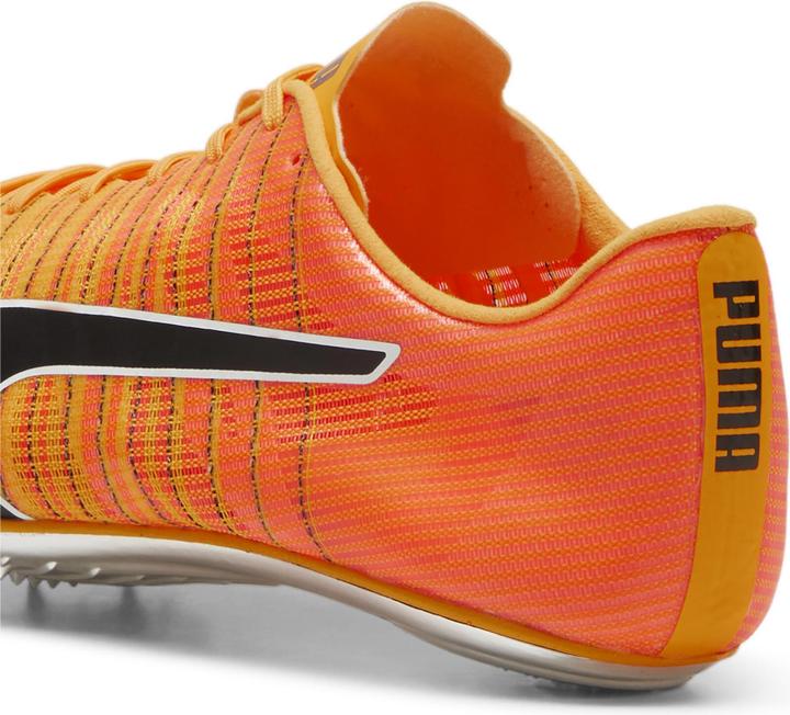 Actual product image Puma evoSPEED BRUSH 6 (47.5)