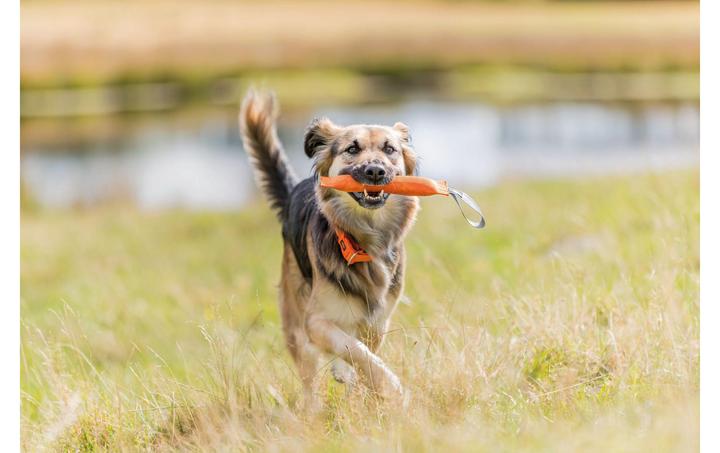 Immagine prodotto Trixie Manichino da allenamento sportivo (Reperimento)
