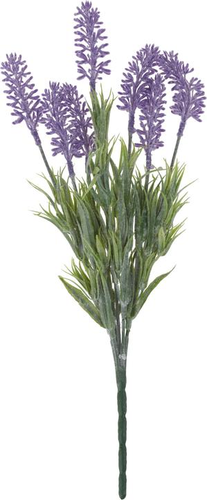 Produktbild VBS XXL Lavendel-Picks "Lavendula", 10 Stück