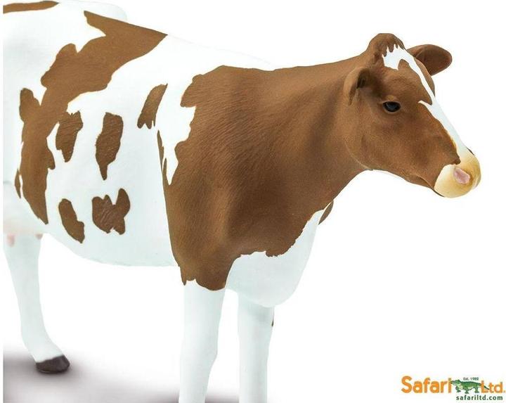 Image du produit Safari Boeuf Ayrshire