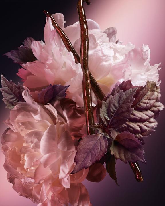 Image du produit Carolina Herrera Blush Elixir (Eau de parfum, 30 ml)
