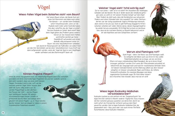 Produktbild Was willst du wissen? Das grosse Fragen- und Antwortenbuch – Tiere (Deutsch, Kristine Ortmeier, Angelika Huber-Janisch, 2023)
