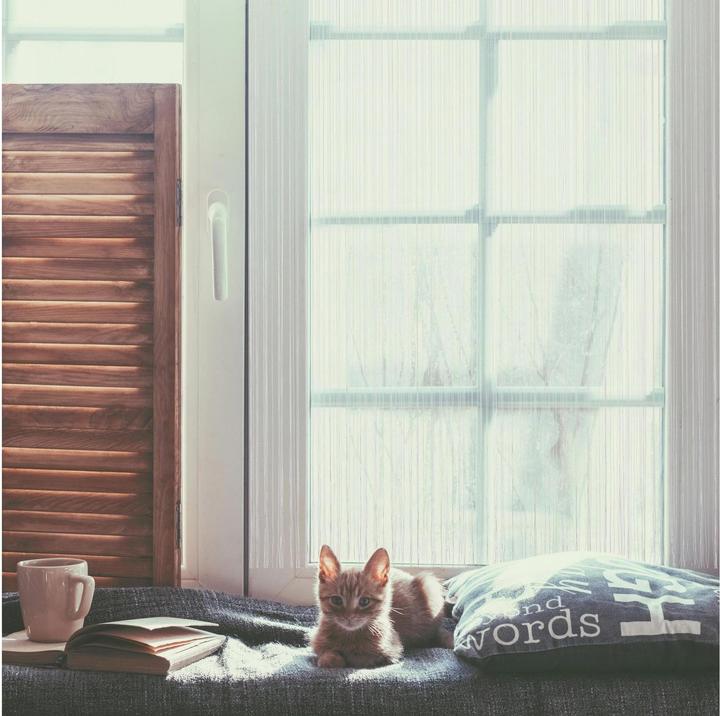 Actual product image Relaxdays White String Curtains (90 x 245 cm)