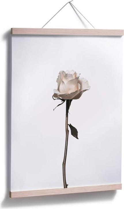 Actual product image Trenddeko The white rose (40 x 50 cm)