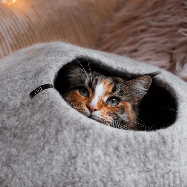 Actual product image LucyBalu PEBBLE KatzenhÃ¶hle aus Filz (Cat)