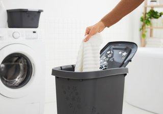 Image du produit Rotho Fleurs (55 l)