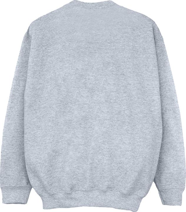 Actual product image Disney Girls The Lion King Group Sweatshirt (152, 158)