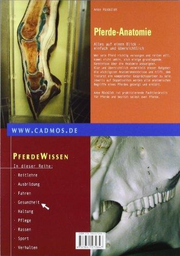 Produktbild Pferde-Anatomie (Deutsch)