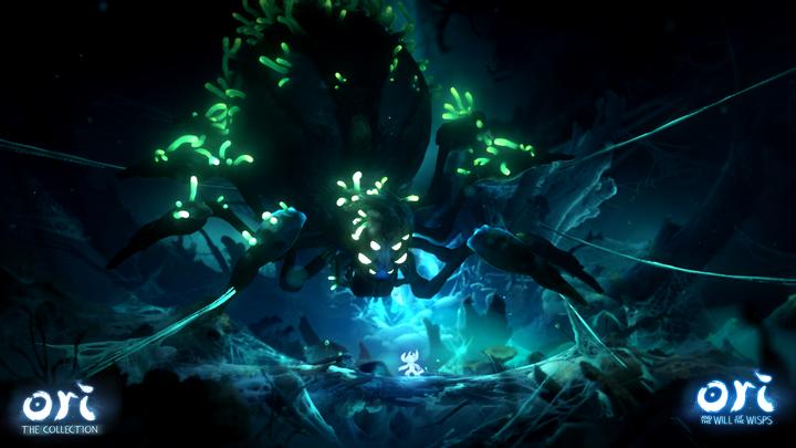 Immagine prodotto Skybound Ori - La collezione (Switch, Switch Lite, Switch OLED, DE)