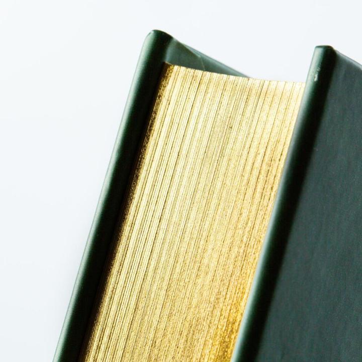 Produktbild Disney: Das grosse goldene Buch der Tiergeschichten (Deutsch, Walt Disney, 2022)