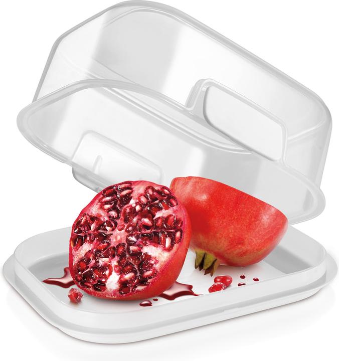 Immagine prodotto Tescoma Contenitore 14x10 cm Freshzone