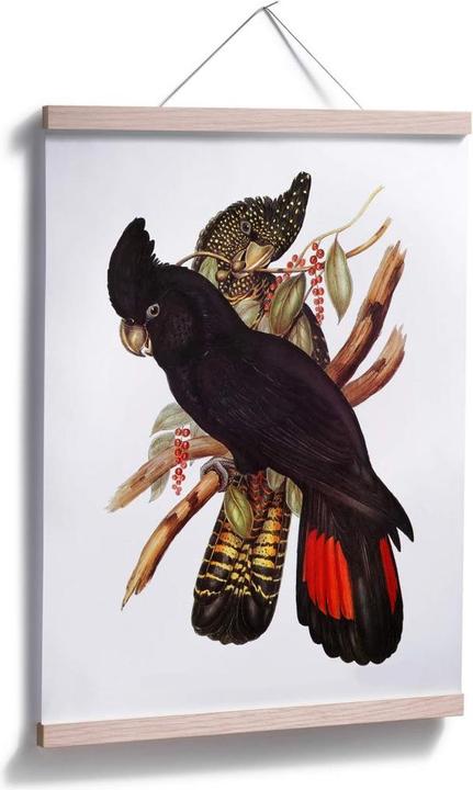 Produktbild Trenddeko Schwarzer Kakadu (24 x 30 cm)