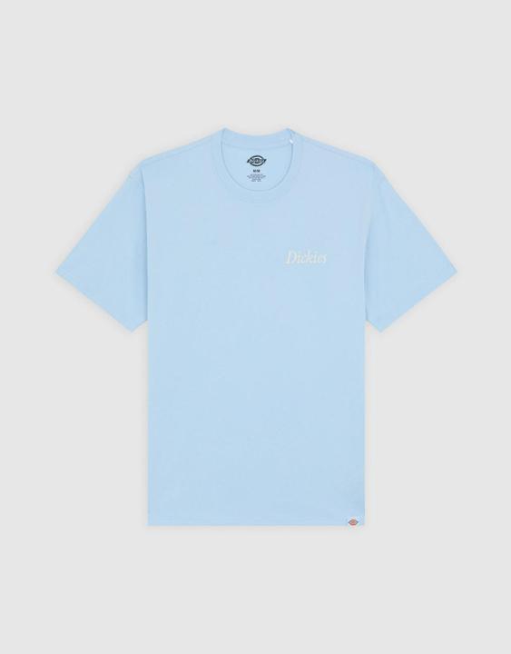 Image du produit Dickies Companion Script Ss Tee Skyway (L)