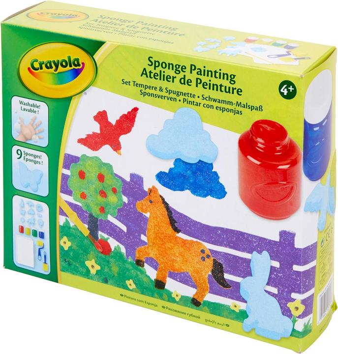 Actual product image Crayola Craft set painting with sponge