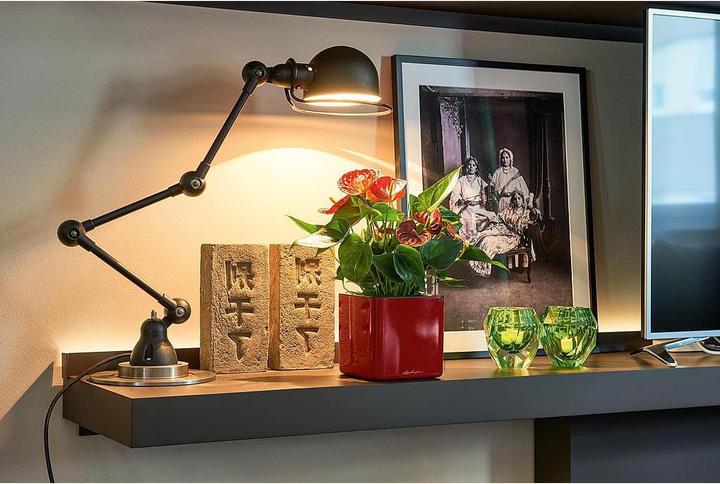 Immagine prodotto Lechuza Cubo lucido 14 (14 cm)