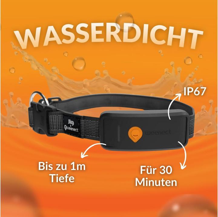 Image du produit Weenect Traceur GPS pour chiens (XL, Chien, Sport canin)