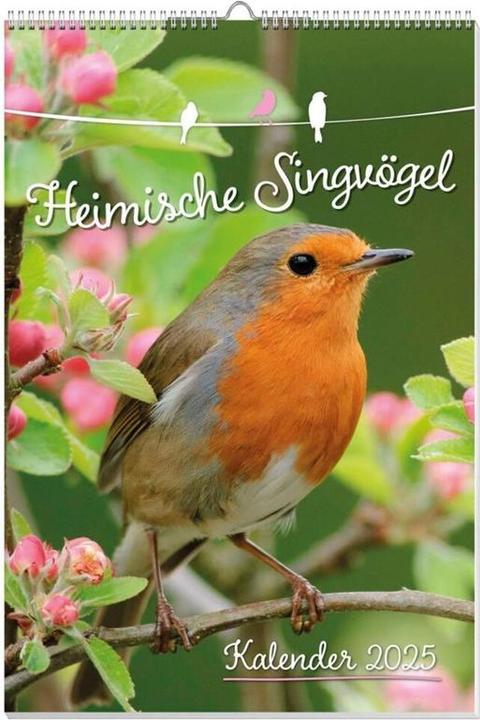Oiseaux chanteurs locaux Calendrier des posters 2025 (Non contraignant, Allemand)
