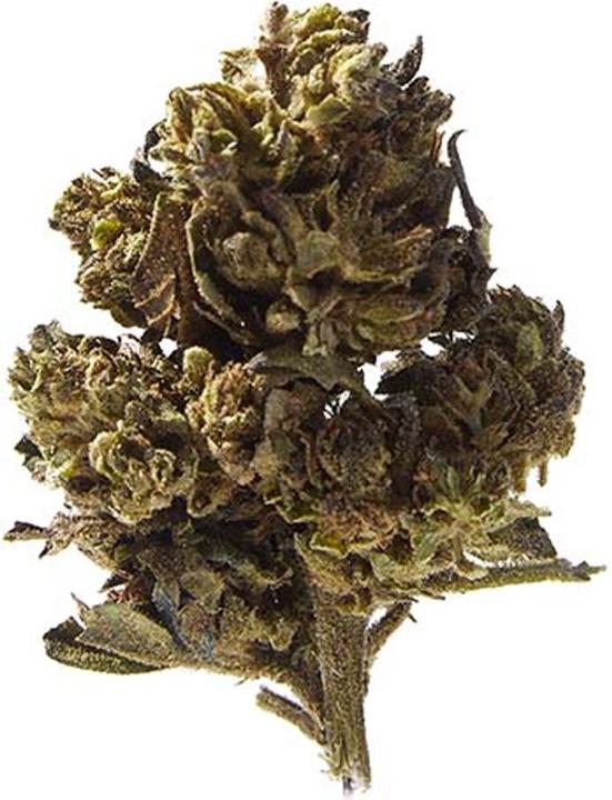 Immagine prodotto Herba di Berna Mango Haze (45 g, Esterno)