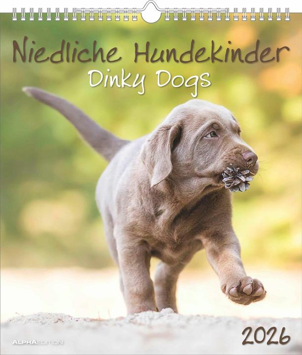 Actual product image NiedlicheHundekinder2026-Wand-Kalender-Tier-Kalender-30x34 (30 x 34 cm, Hardcover, English, Dutch)