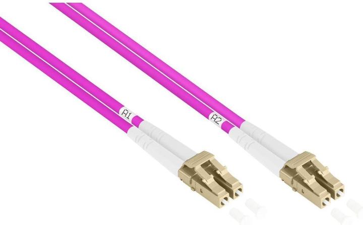 Kabelmeister Câble patch Fibre optique duplex OM4 CABLE PANZER (multimode, 50/125) LC/LC, armature en acier et (50 m)