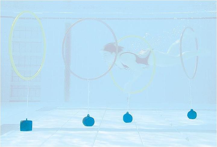 Immagine prodotto Sport-Thieme Pesi per giochi d'acqua