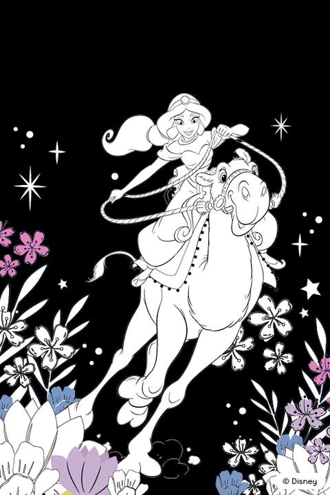 Actual product image Panini Disney Princess: My great colouring magic