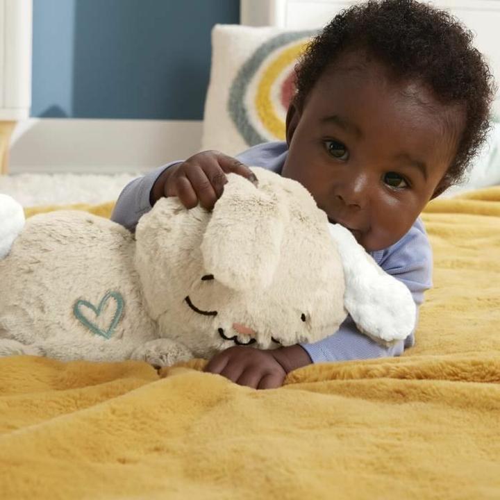 Actual product image Fisher-Price Slumber bunny