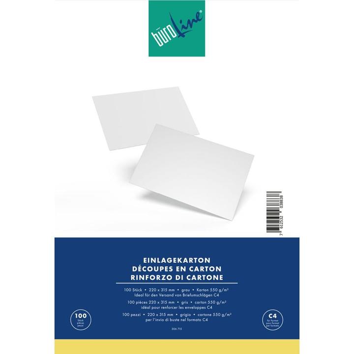 Image du produit BüroLine Insérer des cases (100 pièce(s))