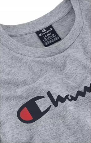 Actual product image Champion Men's T-shirt with round neckline (XL)