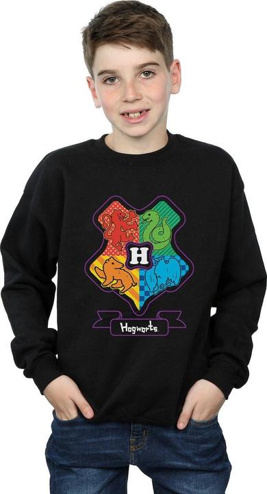 Produktbild Hogwarts Junior Crest Sweatshirt Jungen (152, 158)