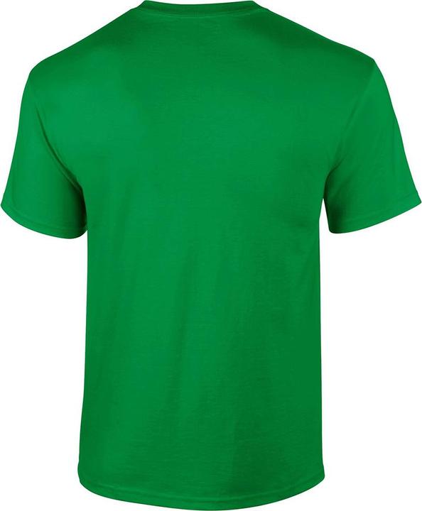 Actual product image Gildan Mens Short Sleeve Soft-Style T-Shirt (M)