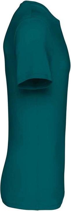 Actual product image Native Spirit Unisex Adult Heavyweight Slim T-Shirt (4XL)