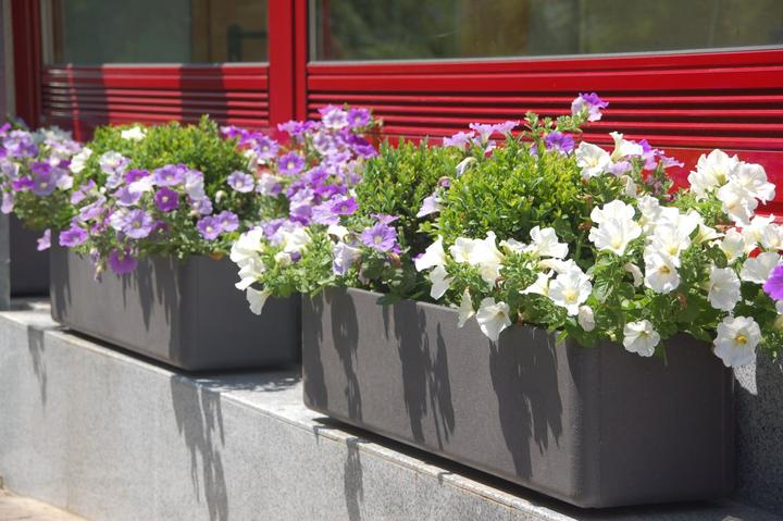 Image du produit Eternit Balconia (17 cm)