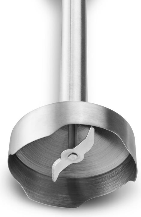 Produktbild Zelmer ZHB4563S Pulsar Premium