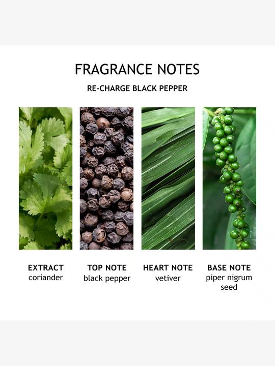 Actual product image Molton Brown Re-charge Black Pepper Body Lotion (Body lotion, 300 ml)